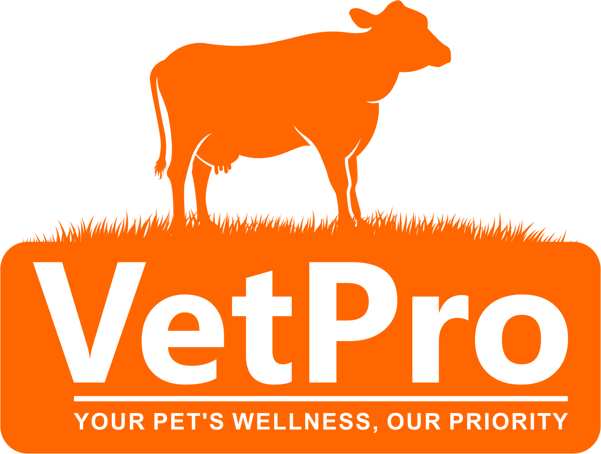 Vetpro Software Vetpro Logo Drools Vet Pro Dry Adult Cat Food 1.2kg